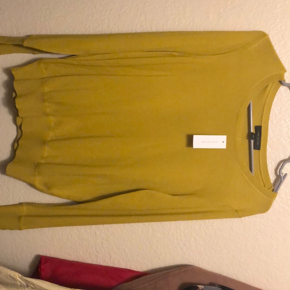 Anne Taylor sweater